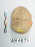藏品(大砝碼型石網墜)的圖片